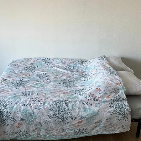 Joli Carnon, Wifi 7min Airport Apartman *